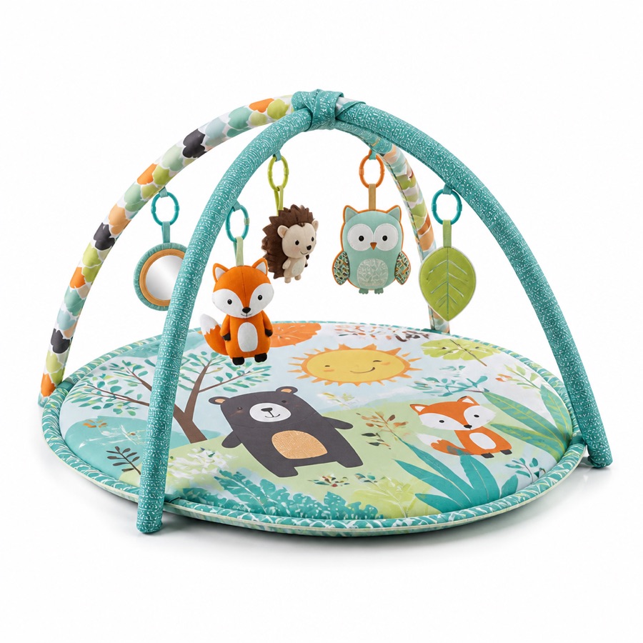 Baby Play Gym